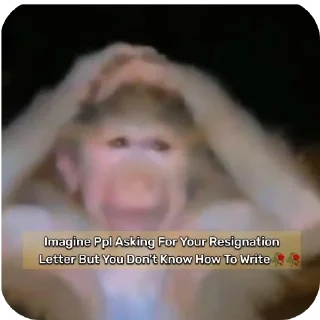 Video sticker 🤲 Pradhan