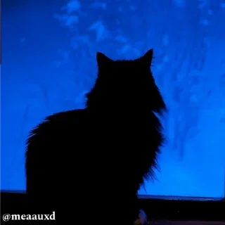 Video sticker 🌟 𝗕𝗹𝘂𝗲💙 @meaauxd @meaauchan @urm :: @fStikBot