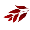 Sticker 💋 Red Pack :: @fStikBot