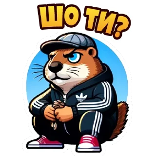 Telegram stiker 😎 Place Kharkiv @place_kharkiv