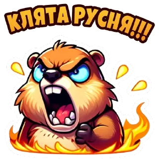 Video sticker 😡 Place Kharkiv @place_kharkiv