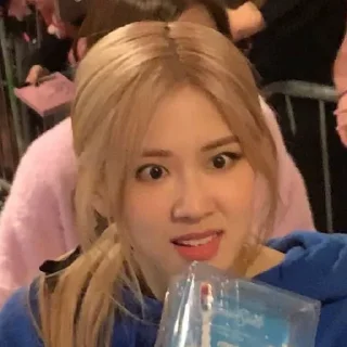 Sticker 😤 Blackpink 21