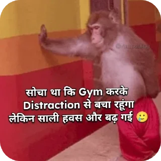 Video sticker 👍 @aarav_hu 👺