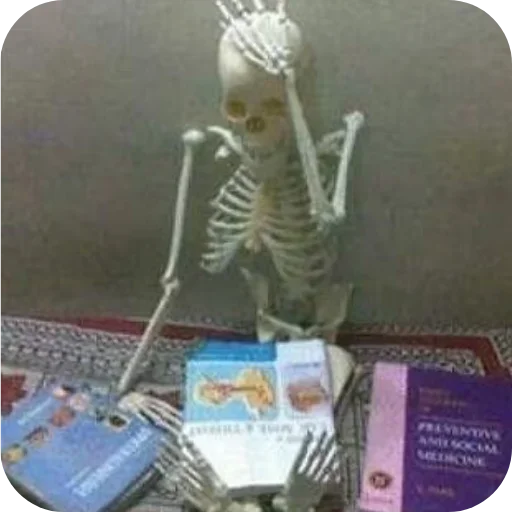 Telegram stiker 🐦 Shimlamirch_|| @Nerd_home