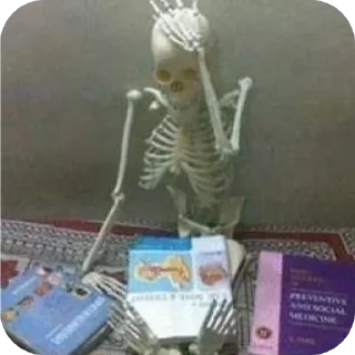 Video sticker 🐦 Shimlamirch_|| @Nerd_home