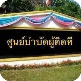 Video sticker 🏖 momoo