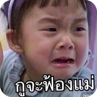 Telegram sticker 👍 momoo