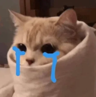 Telegram sticker 😭 @stjckers شماره مجازی ارزان👉🏼 @Majazinoo_accbot