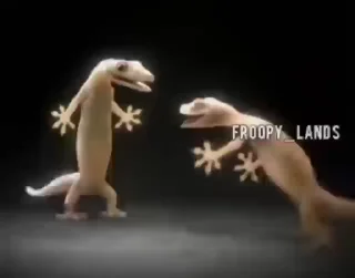 Video sticker 🤍 ..