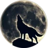 Video sticker 🐺 ☠︎︎ 𝐞𝐋...