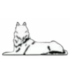 Video sticker 🐺 ☠︎︎ 𝐞𝐋...