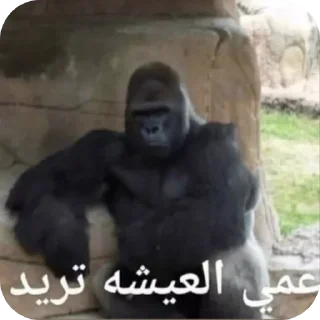 Telegram sticker 🖼 تسليك @S7_5BOT