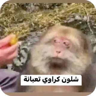 Telegram sticker ✋ تسليك @S7_5BOT