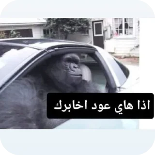 Telegram sticker 🚗 تسليك @S7_5BOT