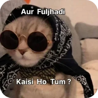 Telegram sticker 🐱 Ganja ganjaa👽💁‍♀️