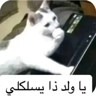 Video sticker 🎲 @Ali_R4X