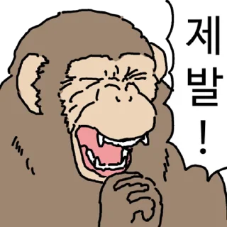 Video sticker ⭐ 침팬지의 무지성 주식 매매법 @manbull_sticker_bot
