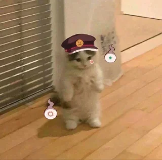 Telegram sticker 🧚 戦 | σвιтσ's sticker pack