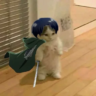 Telegram sticker 🧚 戦 | σвιтσ's sticker pack