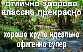 Video sticker 🌟 мои любимые пикчи :: @fStikBot