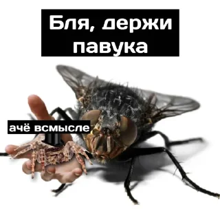 Telegram sticker 🤗 Пещера Pel-меня