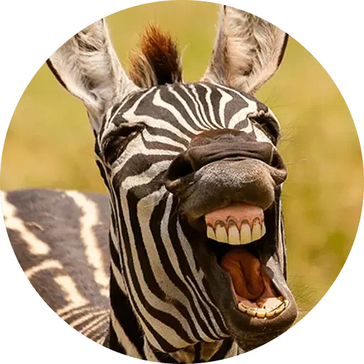Telegram sticker 😂 A joder a otro