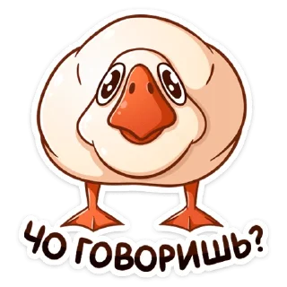 Video sticker 😳 Гусь Федька :: @stickroom
