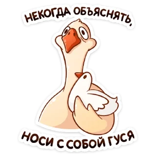 Telegram sticker 🐔 Гусь Федька :: @stickroom