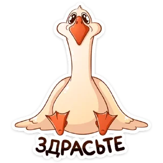 Sticker 👋 Гусь Федька :: @stickroom