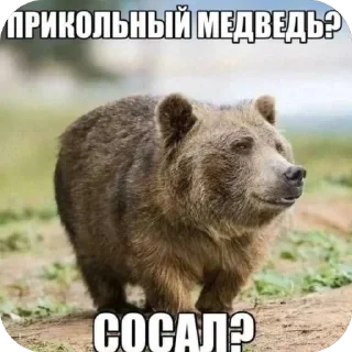 Telegram sticker 🫥 Godforsaken