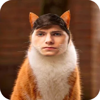 Telegram sticker 🐱 Декотик