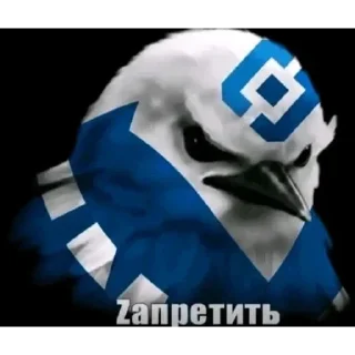 Video sticker 😎 Вряд-ли 3 @zatmenienochi