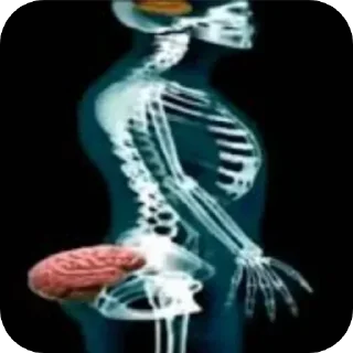 Telegram sticker 💩 پیشمیاد