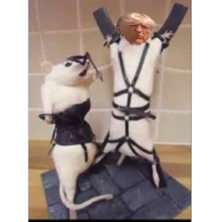 Telegram stiker 🫥 Fuking tup