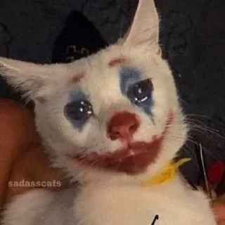 Telegram sticker 🤡 @RehannRaza's Pack 1