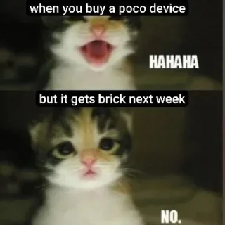 Video sticker 😂 @RehannRaza's Pack 1