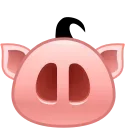 Video sticker 🐽 @pesduza
