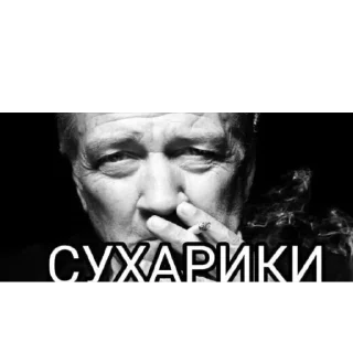 Video sticker 🔥 ЕБАНУТЫЙ ДЭВИД ЛИНЧ (@bambambrrrr)