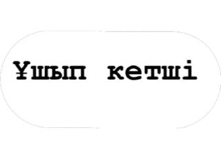 Video sticker 😼 KTL