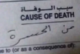 Telegram sticker 🧚‍♀️ @miil_33