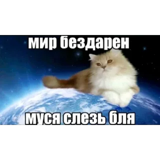 Video sticker 🤤 уютненько by @iamgubg