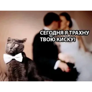 Телеграм стикер 😳 уютненько by @iamgubg