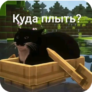 Video sticker 🐱 Барсик говорит