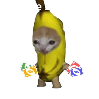 Video sticker 🍌 Барсик говорит