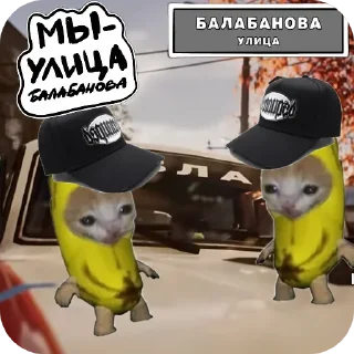 Telegram sticker 🧢 Барсик говорит