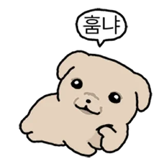 Video sticker ⭐ 깨득이 3 @moe_sticker_bot