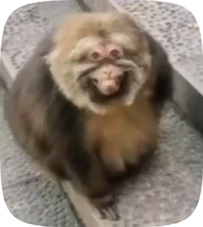 Video sticker 😁 Больше стиков тут: @stikery4