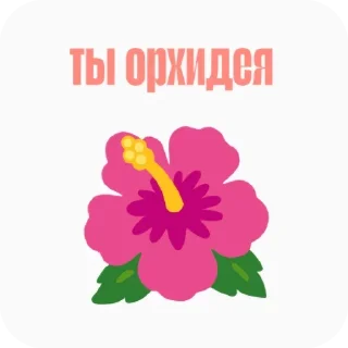 Video sticker 🌸 Больше стиков тут: @stikery4