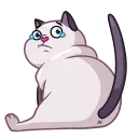 Telegram sticker 😢 Cathbert