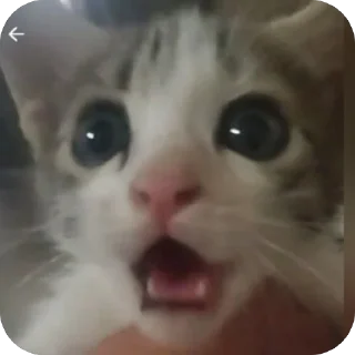 Telegram sticker 🫥 KR$NA